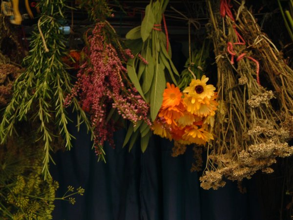 Herbal Harvests